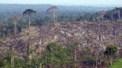 AMAZONDeforestation7