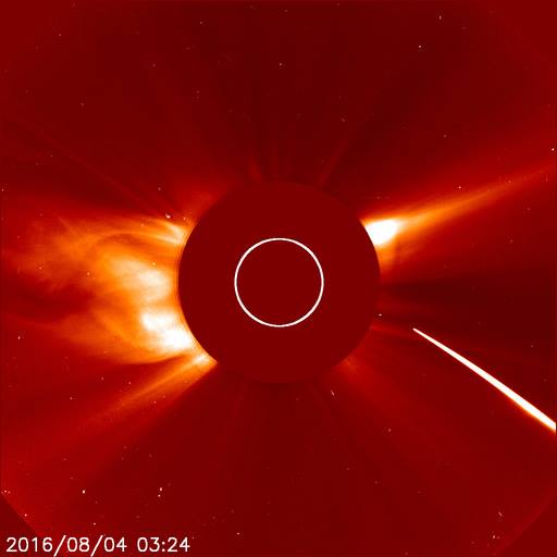 CME_08-04_0324_Red