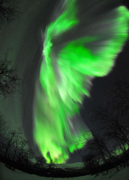 Aurora_2013-03-03_WingedBeing_byChadBlakely